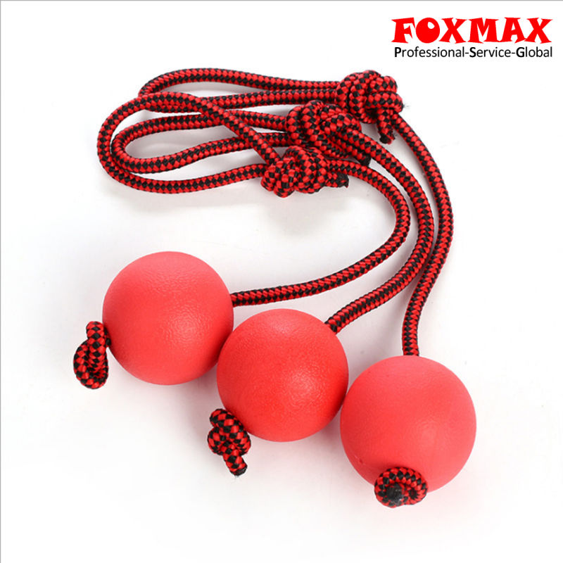 Durable Chew Training Toy for Pet Dog (FM-PS230)