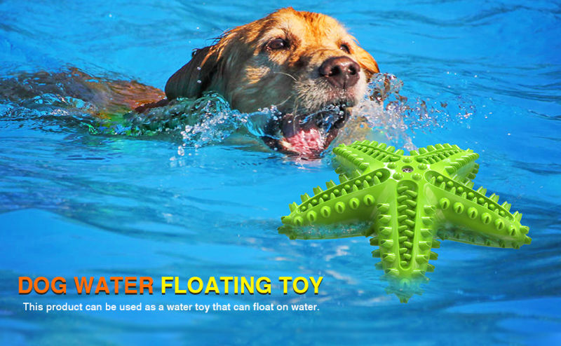 Starfish Shap Pet Toys with Sound Water Floating Toy