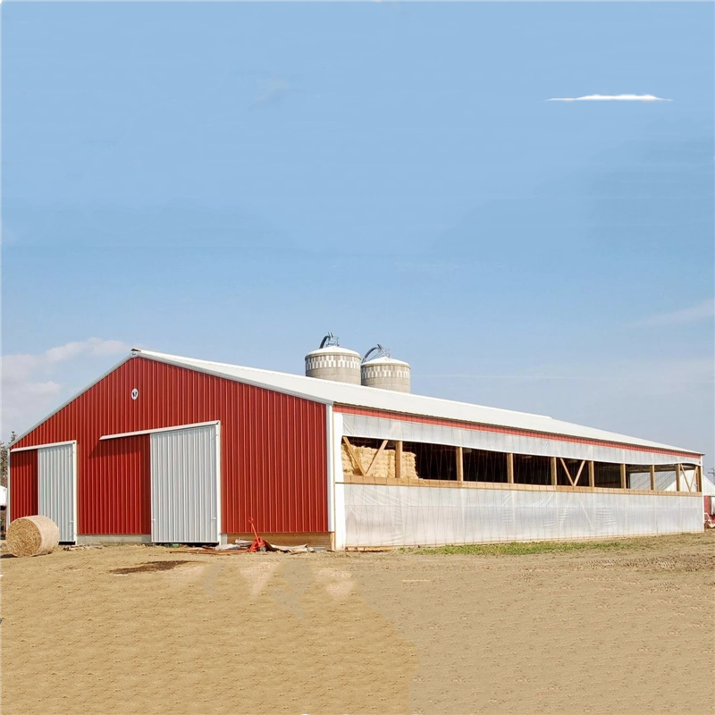 Light Steel Structure Domestic Animal House Prefabricated Poultry House Shed