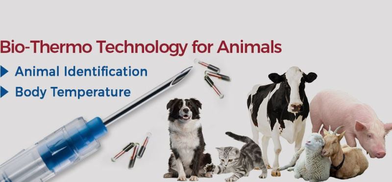 Animal NFC Pet Microchip Transponder Disposable Syringes RFID Tracking Microchip