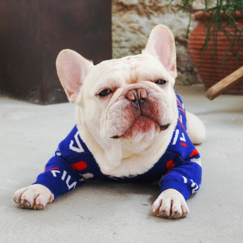 Fashion Warm Comfortable Turtleneck Cute Pet Dog Clothes