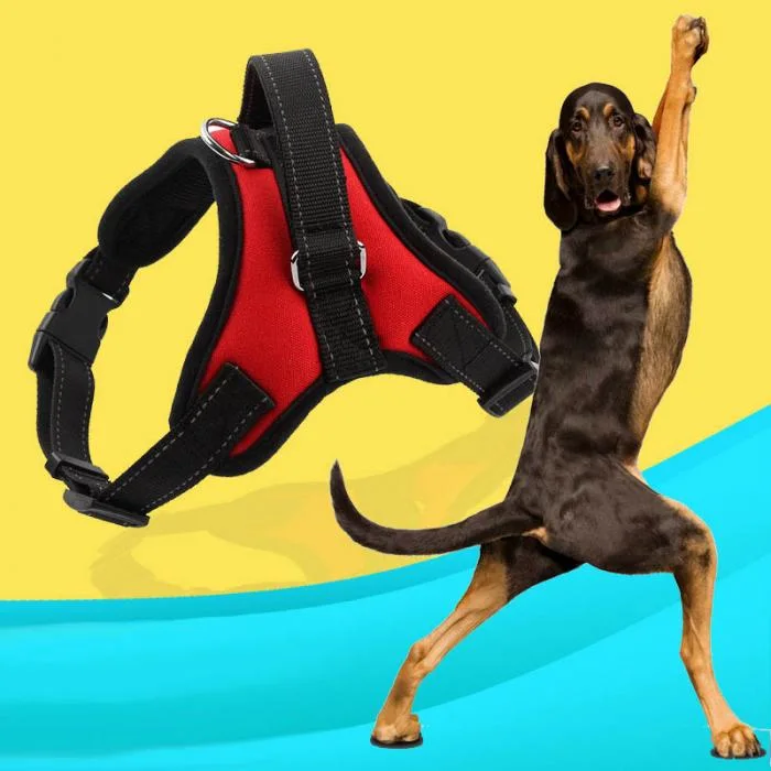 Adjustable Nylon No Pull Dog Harness Vest Large Dog Leash Medium Pet Product