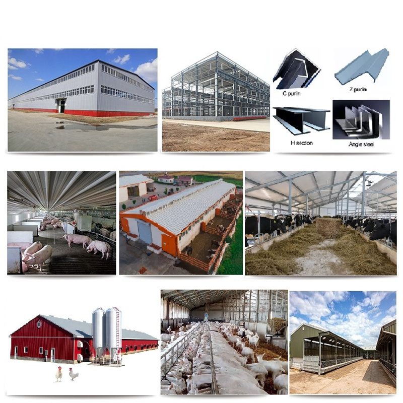 Light Steel Structure Domestic Animal House Prefabricated Poultry House Shed