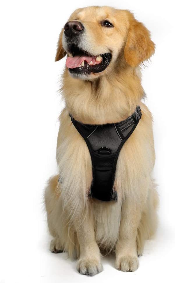 OEM No Pull Dog Harness Reflestive Oxford Fabric Dog Harness