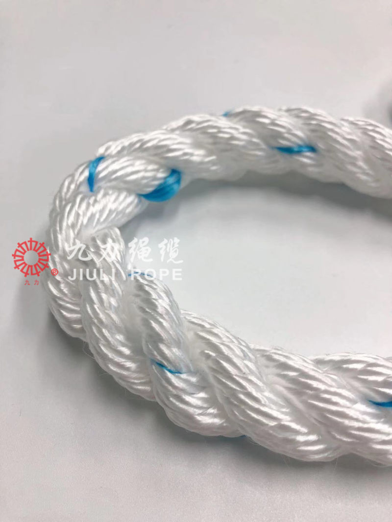3 Strands Polyester Rope PP Pet PA Rope Impa Rope 210251 210252 210253