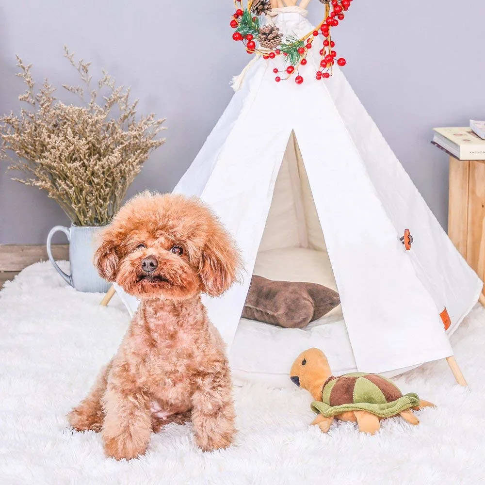 Washable Portable Teepee Dog Bed for Doggy and Kitty 24 Inch Safe House Without Cushion