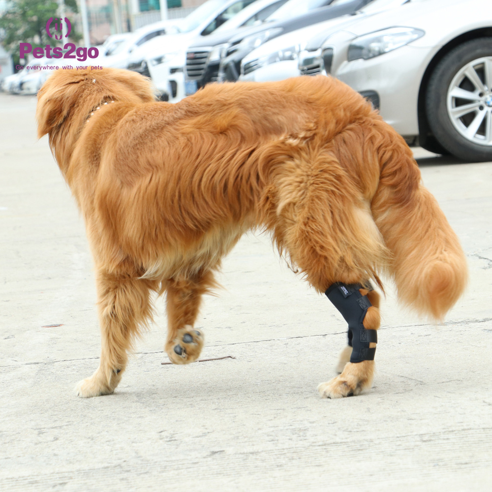 Dog Kneepap Pet Surgery to Restore Joint Protection Pet Supplies