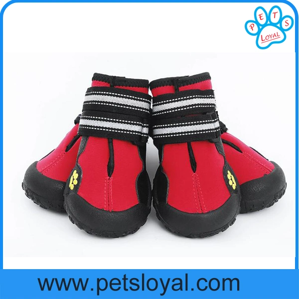 Manufacturer Wholesale Anti-Slip Pet Dog Shoes Pet Accessories