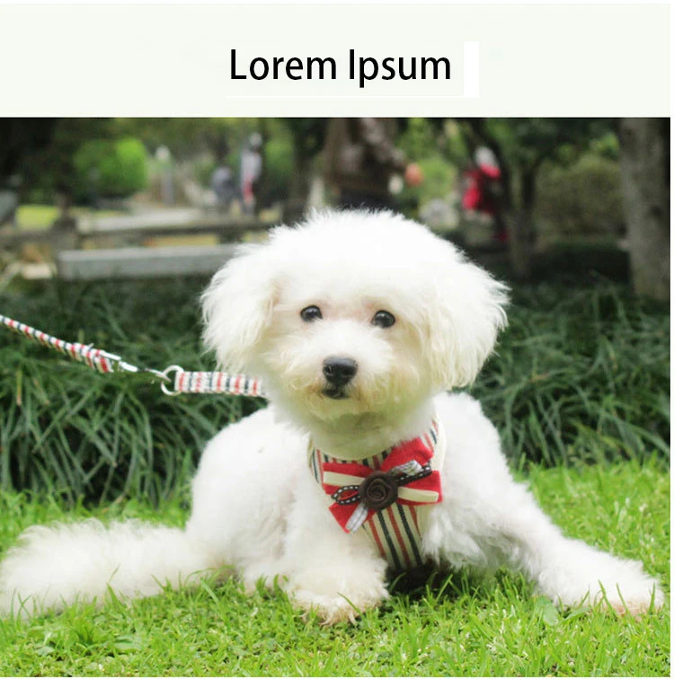 Pet Striped Chest Strap Mesh Breathable Vest Rope Dog Rope Pet Supplies Chest Strap