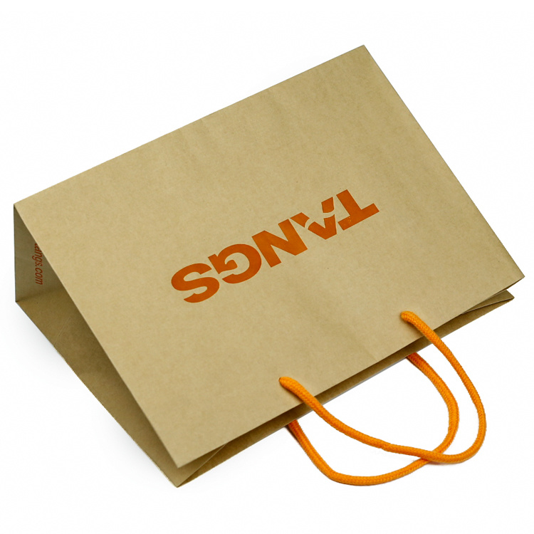 Recyclable Cheap Printed Logo Kraft Paper Bag with Cotton Rope
