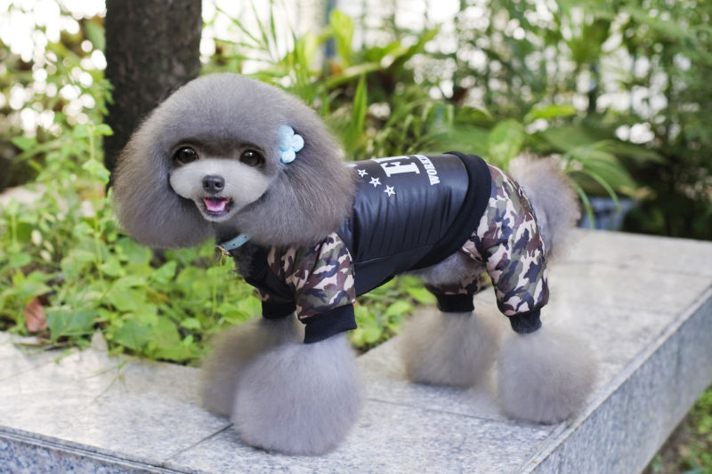 Dog Winter Coat Jumpsuit Windproof Pet Puppy Jacket Camouflage Warm Coats for Small Dogs Esg12448