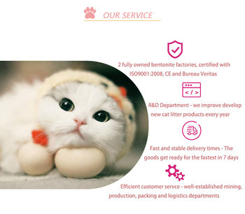 2020 Hot Sale Baby Powder Bentonite Cat Litter