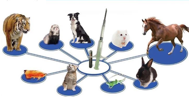 Animal NFC Pet Microchip Transponder Disposable Syringes RFID Tracking Microchip