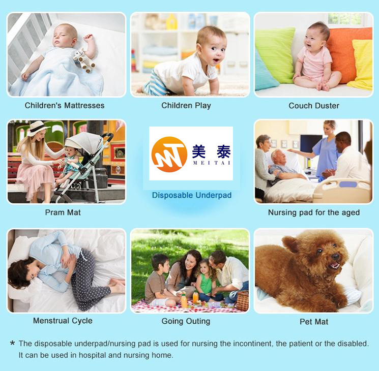 New Products 2020 Innovative Diaper for Pet Product