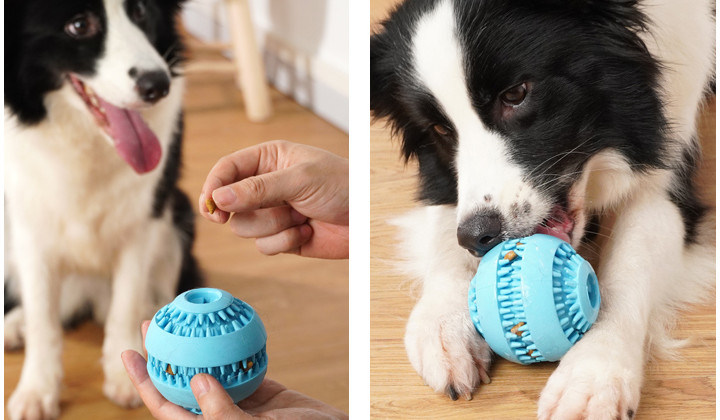 Dog Toothbrush Toy Brushing Rubber Balls for Dog Puppy Tooth Healthcare Teeth