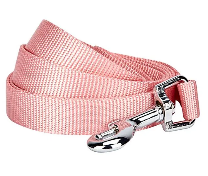 Comfortable Padded Handle Threads Dog Leashes Nylon Dog Leash