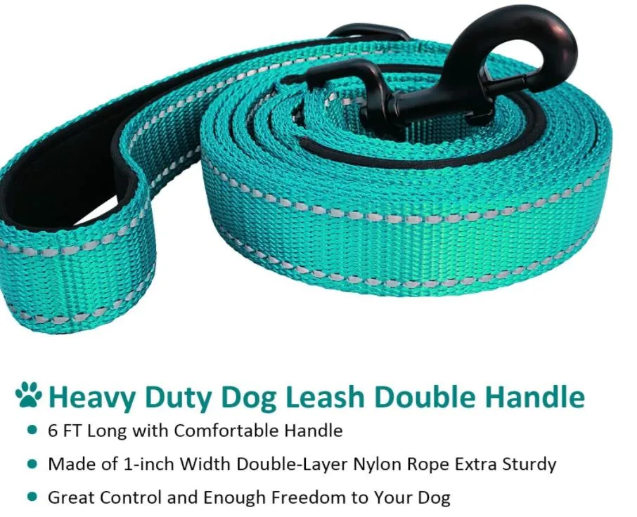 Comfortable Padded Handle Reflective Threads Dog Leashes Nylon Dog Leash