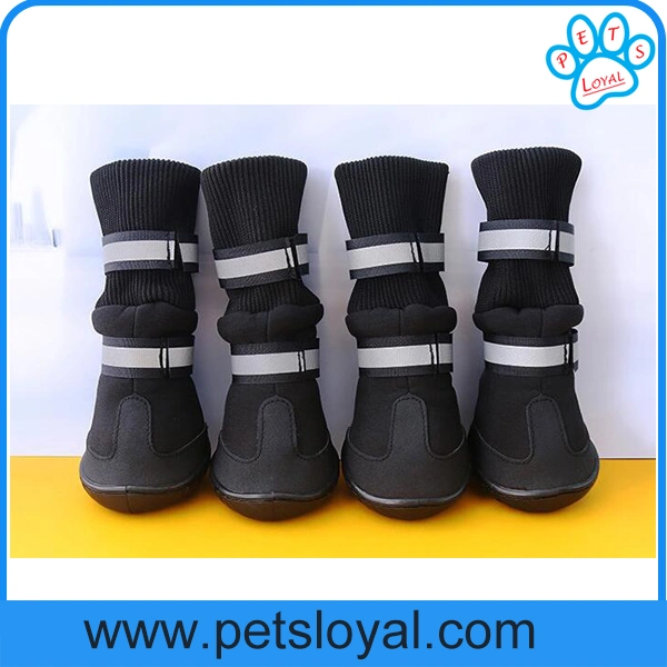 Amazon Standard Factory Wholesale Pet Dog Shoes Dog Product