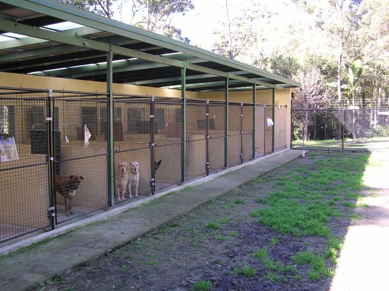 Dog Boarding Kennels Galvanized Steel Modular Dog Kennels for Sale