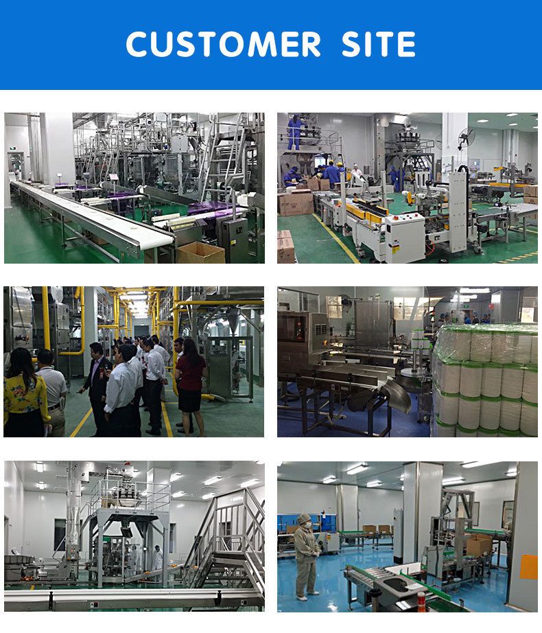Automatic Bag Packaging Machine for Candy, Snacks, Pet Food