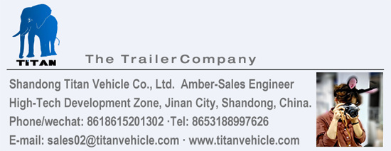 Titan Vehicle Wall Side High Bed Semi Trailer for Sale