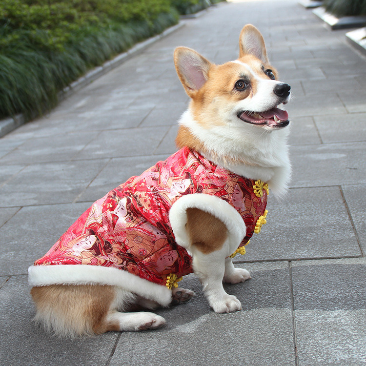 Cotton Padded Clothes with Brocade and Buckle for Pets