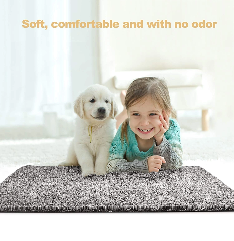 Amazon Hot Sale Super Absorbent Magic Clean Entrance Door Mat Indoor Pet Mat Outdoor Floor Mat Absorb Mud Water Doormat