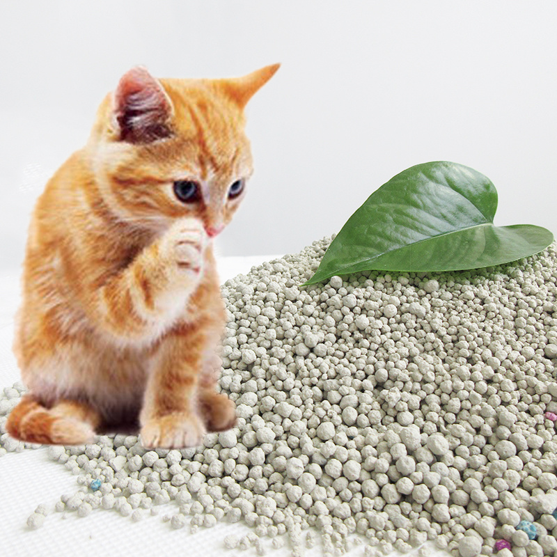 Easy Clean Agglomerated Bentonite Cat Litter Sand for Cat