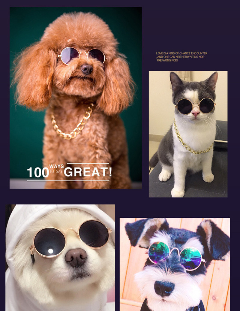 Little Dog Cat Eye-Wear Pet Supply Cat Sun Glasses Pet Accessories