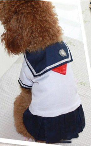 Pet Clothes Dog School Uniforms Student Wear Pet Supplies Wholesale
