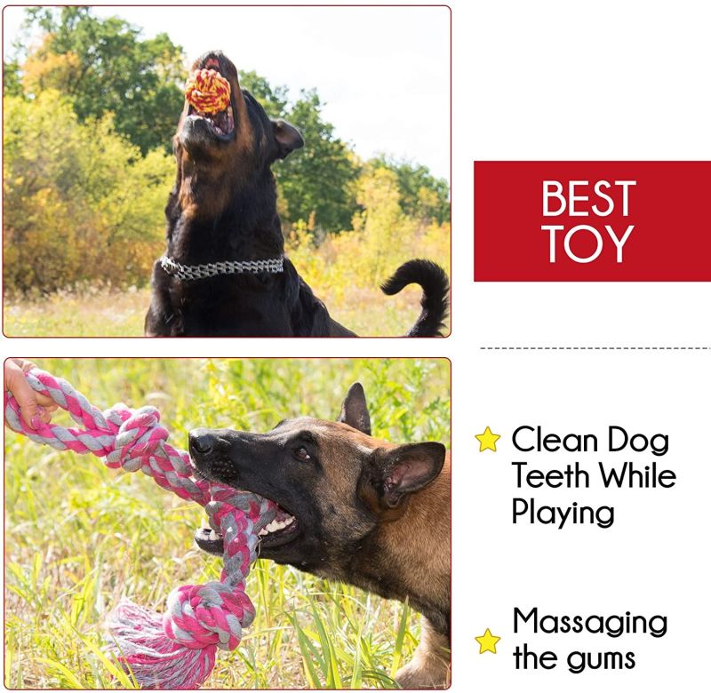 Dog Toys for Aggressive Chewers for Large Dog Toys