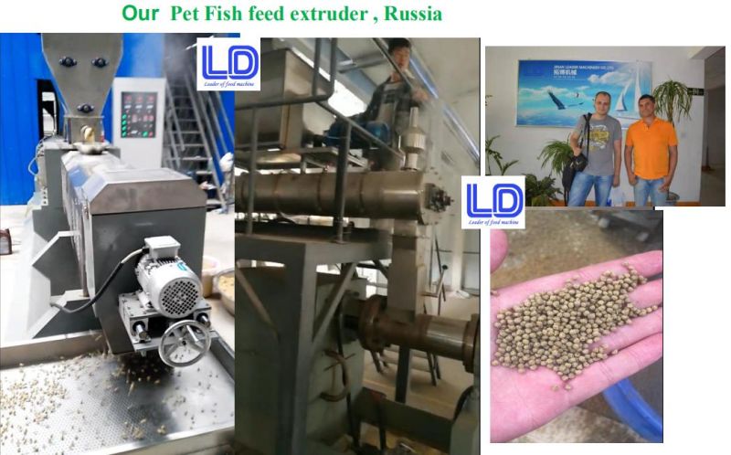 Hot Sale China Pet Food Extruder Manufacturer