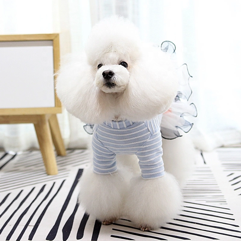 Pet Accessories Luxurious Lace Candy-Colored Pet Dress Pet Clothes