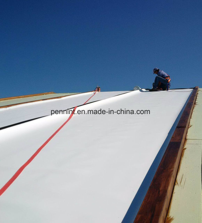 PVC Waterproof Membrane/Sheet Used for Tunnels/Roofs/Basement