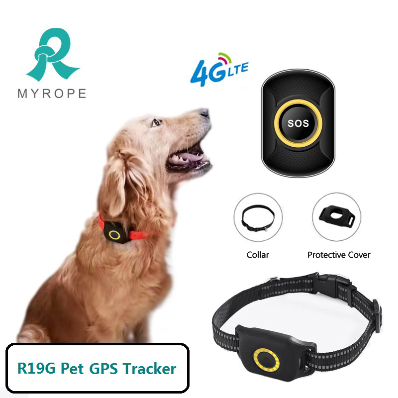 Rastreadores PARA Perros Collar Waterproof Pet Tracker GPS Dog Real Time Satellite Tracking