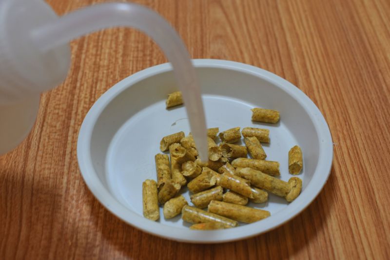 Pine Wood Cat Litter Used for Cats' Toilet