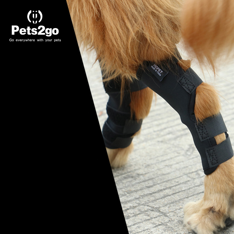 Dog Kneepap Pet Surgery to Restore Joint Protection Pet Supplies