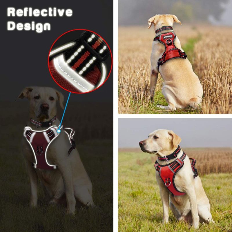 No Pull & Choke-Free Waterproof Dog Harness