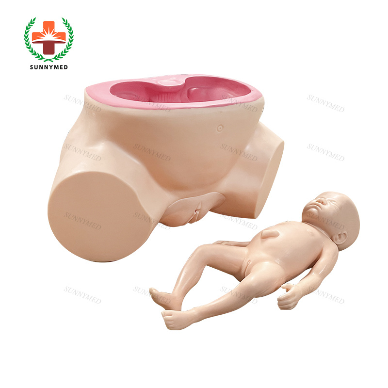 Sy-N064 Medical Childbirth Gynecology Delivery Model for Teaching/Training