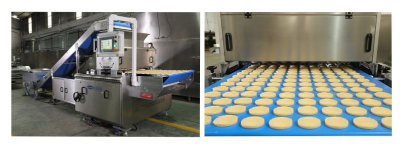 Skywin Discount PLC Fully Automatic Small Cookie Chips Processing Plant/Cookie Making Machine