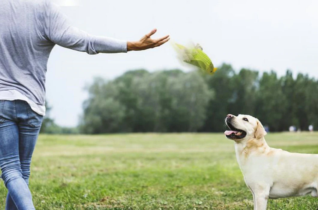 Pet Squeaky Toy Dog Toys, Bite Resistant Plush Parrot Shaped Dog Rope Toys, Chew Toy with Sound Esg12761