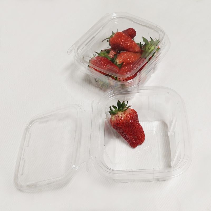 Empty House Pet Plastic Disposable Round Containers with Lid