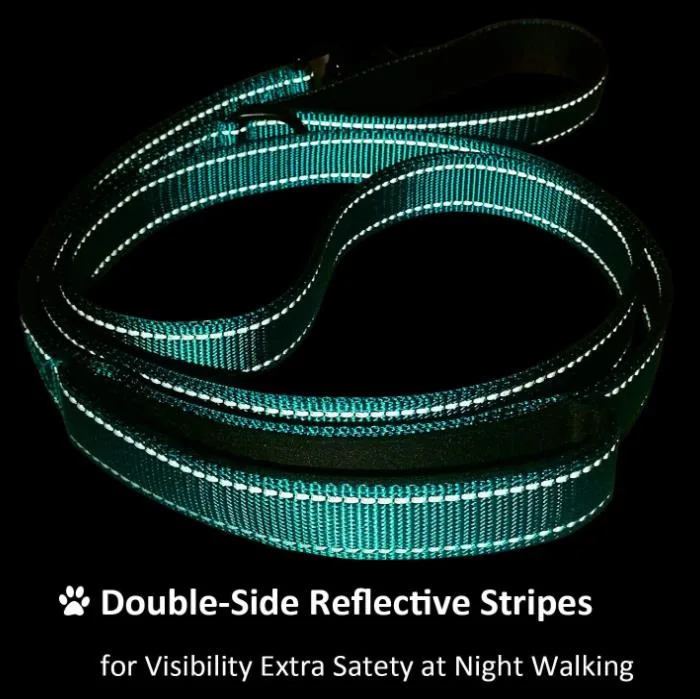 Comfortable Padded Handle Reflective Threads Dog Leashes Nylon Dog Leash