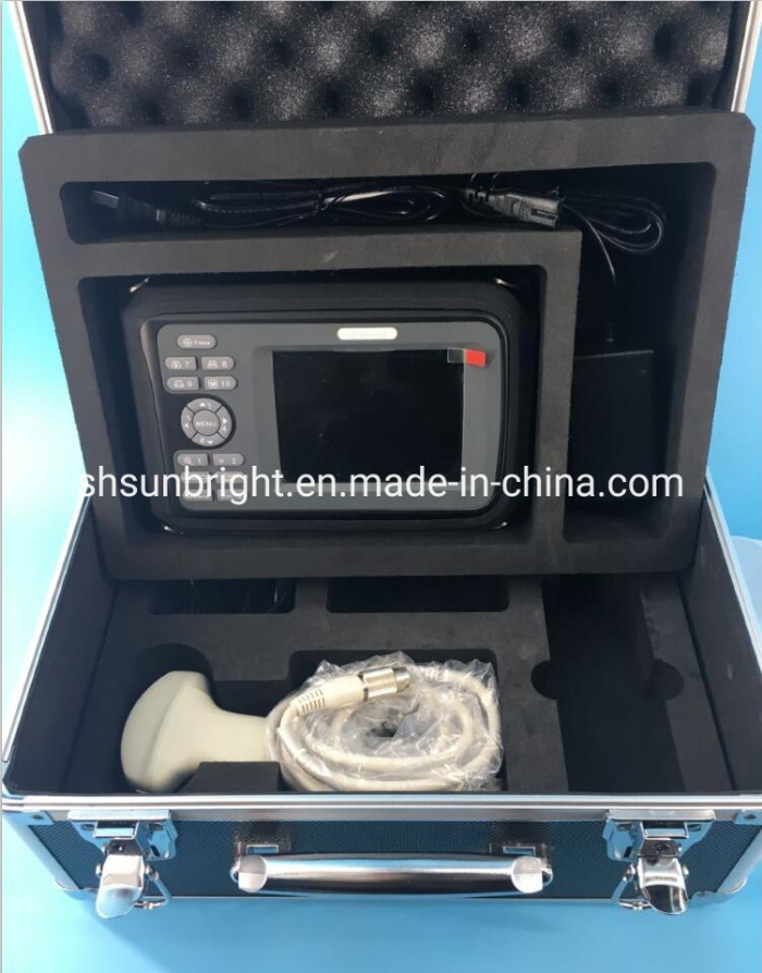 Mini Size Portable Sunbright Portable Ultrasound Machine Medical Ultrasound Sun-808f