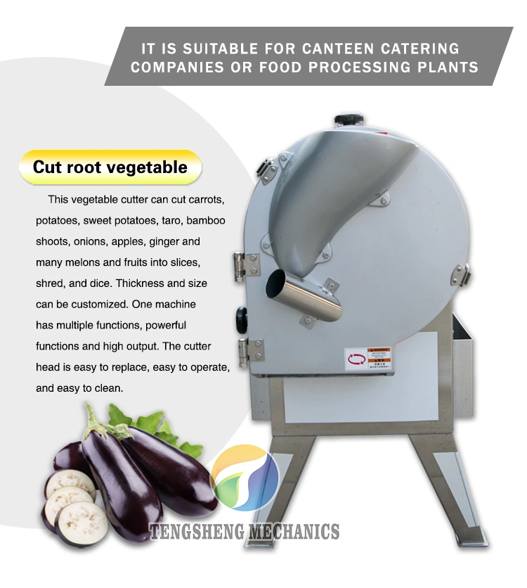 Food Processor Cassava Cucumber Slicer Potato Dicing Machine Vegetable and Fruit Cutting Machine (TS-Q112)