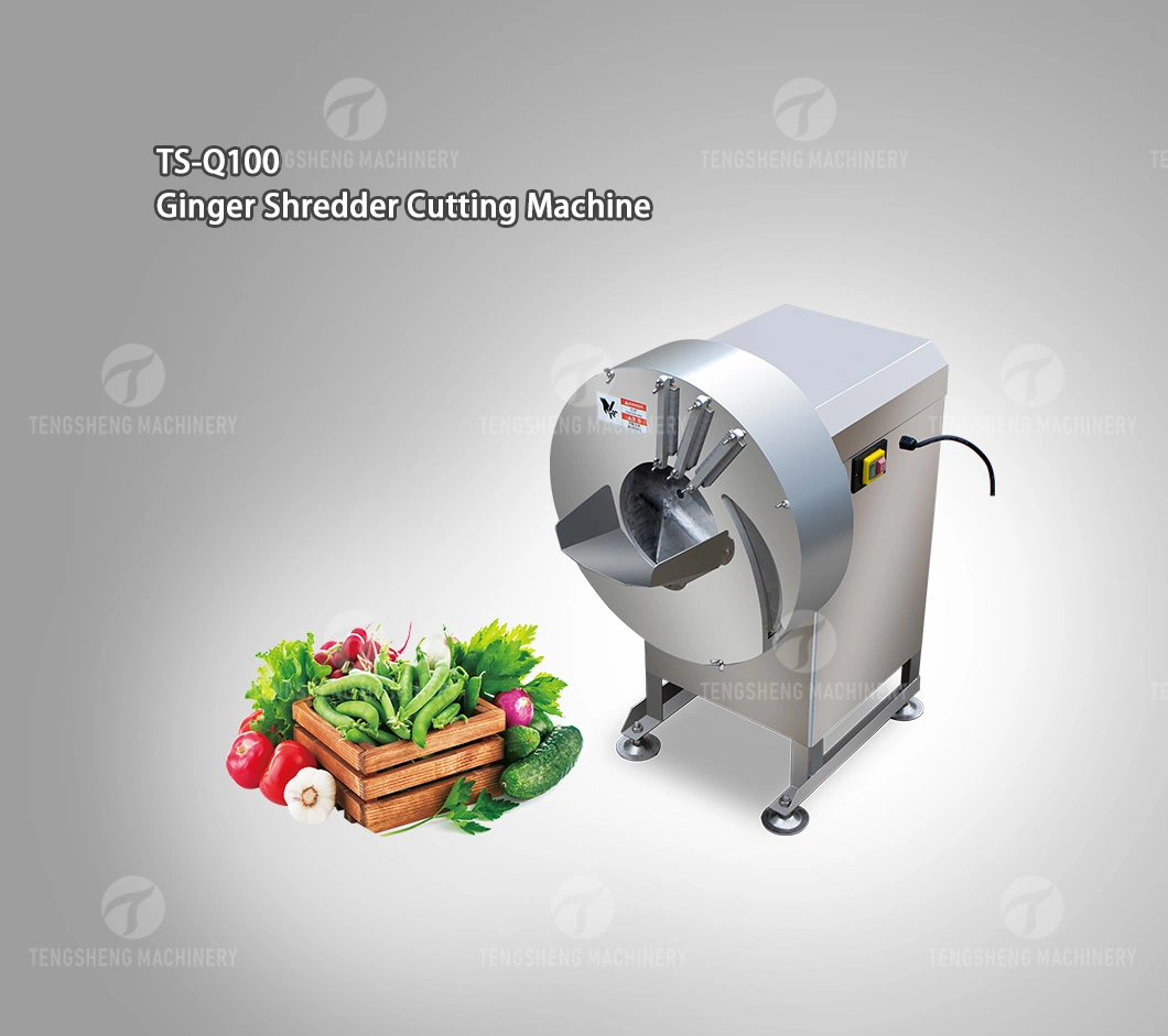 Vegetable and Fruit Cutting Machine Potato Carrot Taro Cutting Machine (TS-Q100)