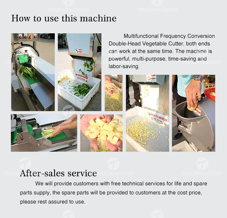 Multifunctional Leafy Vegetable and Fruit Cutting/Slicing/Dicing Machine (TS-Q118)