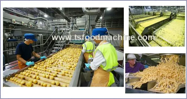 Industrial Automatic French Fries Chips Cutting Machine