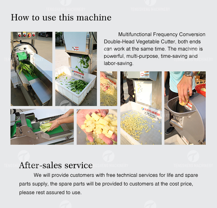 Vegetable Cutting Machine for Potato Carrot/Vegetable Processing Machine (TS-Q118)