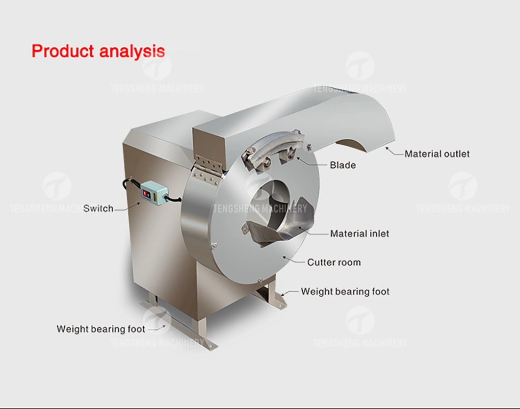 Industrial Taro Cutting Machine Papaya Stripping Machine Wax Gourd Bar Cutting Machine (TS-Q128)